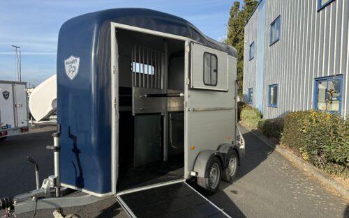 VAN 2 PLACES CHEVAL LIBERTE TOURING COUNTRY
